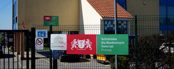 Budowa zadaszeń nad wybiegami dla psów w Schronisku dla Bezdomnych Zwierząt w Gdańsku