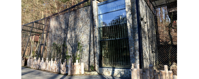 Budowa budynku hodowlanego dla dzioborożców kafryjskich