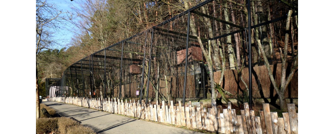 Modernizacja wolier ptasich