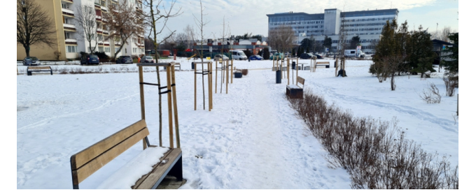 Dokończenie projektu z BO 2017 - wysoka zieleń na placu przy Al. Jana Pawła II / ul. Meissnera