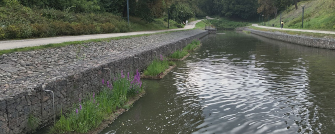 Wyspy pływające na zb. ret. Powstańców Warszawskich - Mokra Fosa - BO 2024