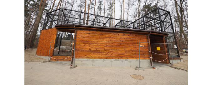 Budowa nowego wybiegu dla Manuli stepowych 